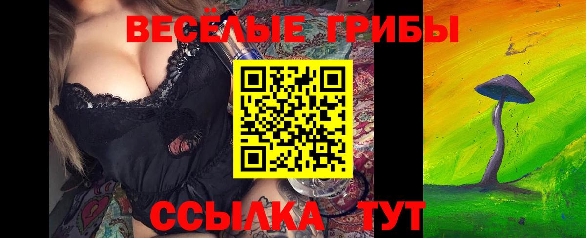 Псилоцибиновые грибы мицелий  Галлюциногенные грибы GOLDEN TEACHER  Вход с VPN  Черногорск 