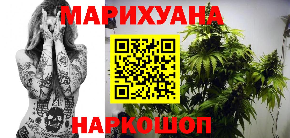 Марихуана конопля  Канабис Bruce Banner  Черногорск  Вход с VPN  Бошки марихуана индика 